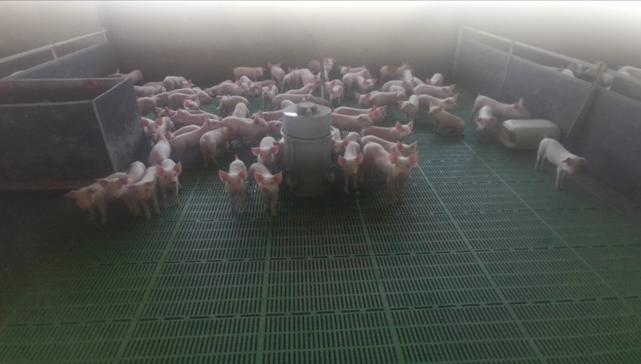 Commercial Property for Sale in Dealesville Free State